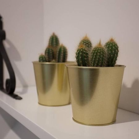 Bonito Apartamento, Nuevo Y En El Casco Viejo!!! Daire Bilbao Dış mekan fotoğraf